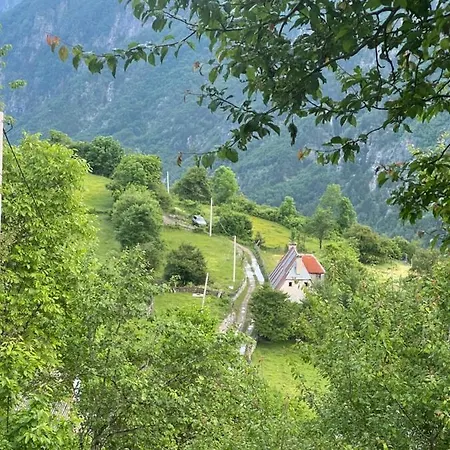 Gjelaj