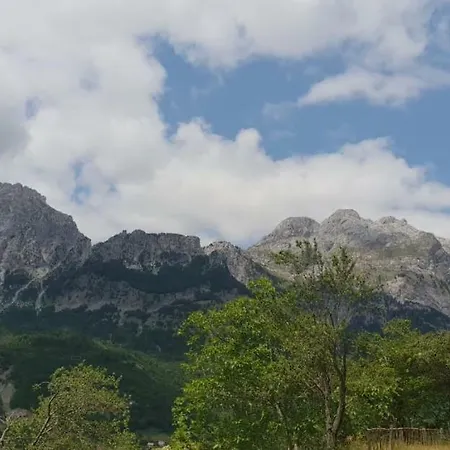 Πανσιόν Gjelaj *