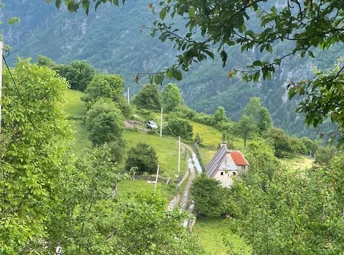 Gjelaj